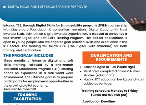 Opportunities at DSE