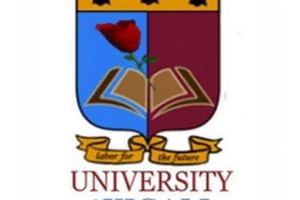Job at University Of Kigali