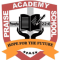 Teaching job at Praise Academy N&P School