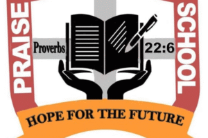 Teaching job at Praise Academy N&P School