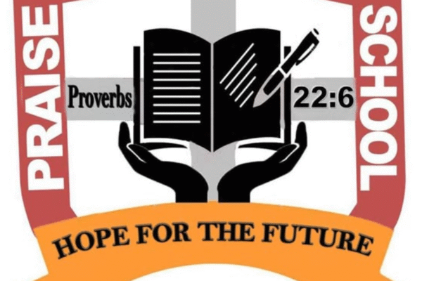 Teaching job at Praise Academy N&P School