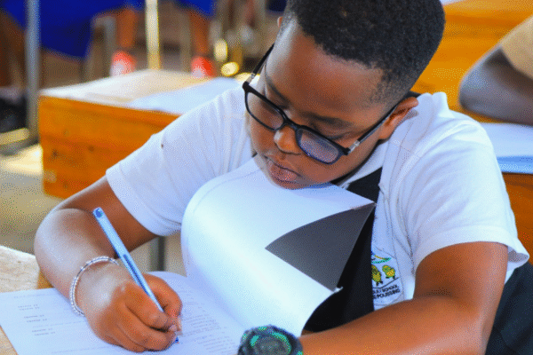 NESA Examination results 2024-2026