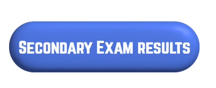 NESA Examination results 2024-2025