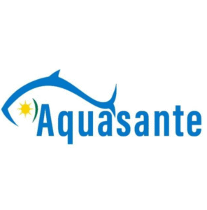Job at Acquasante