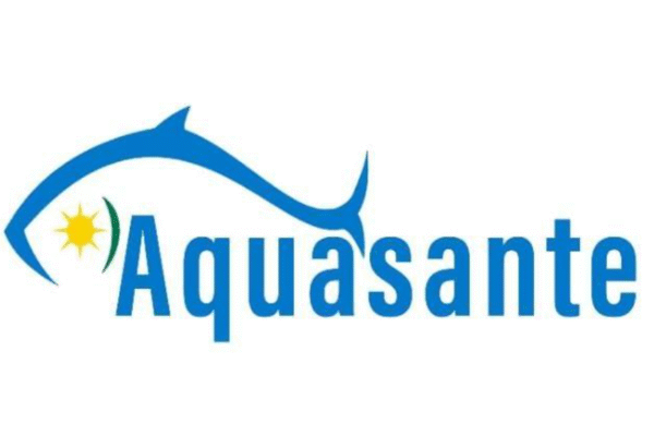 Job at Acquasante