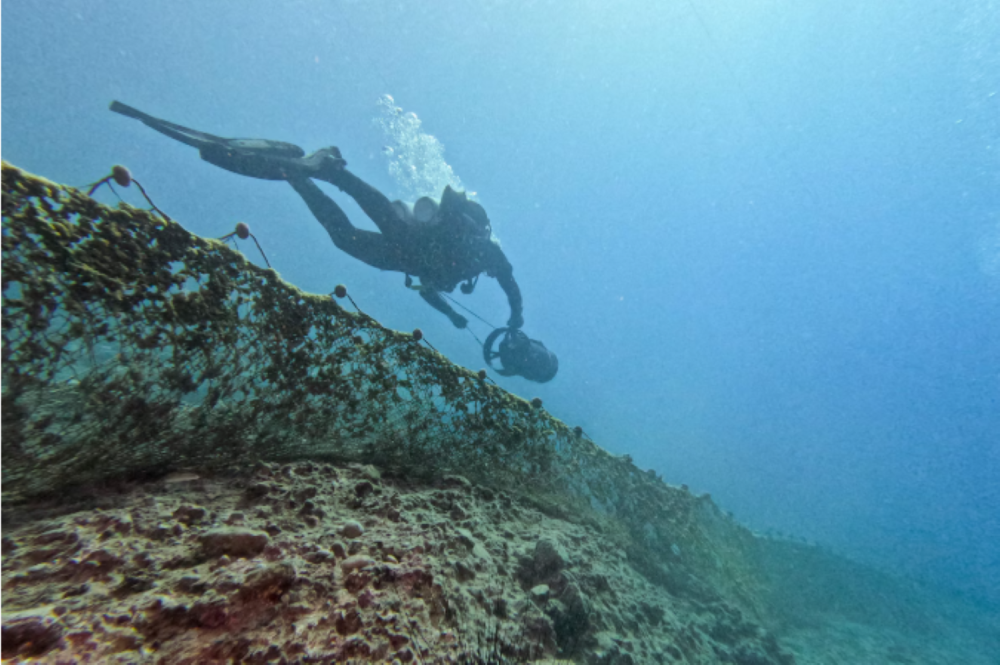 Underwater stone wall measuring 120 meters discovered off the coast of Brittany, western France