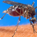 Health workers spraying homes to prevent malaria during the rainy season in Rwanda