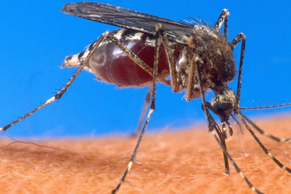Health workers spraying homes to prevent malaria during the rainy season in Rwanda