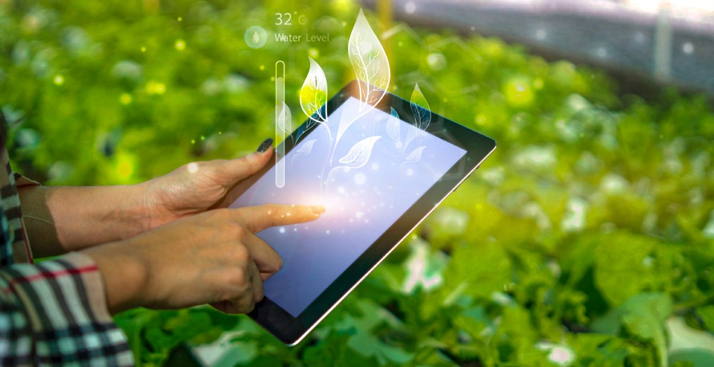 Digital Agriculture