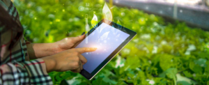 Digital Agriculture