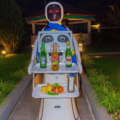 robots in Rwanda restaurants