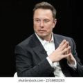 Musk fraud