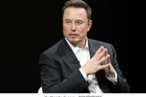 Musk fraud