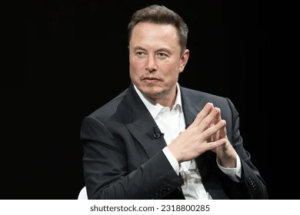 Musk fraud