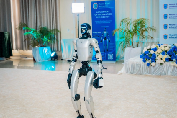 Humanoid Robot