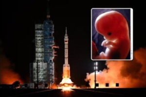 space reproduction