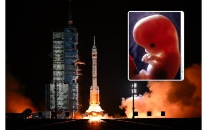 space reproduction