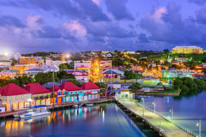 How a Tiny Caribbean Island Got Rich from the .AI Domain Name